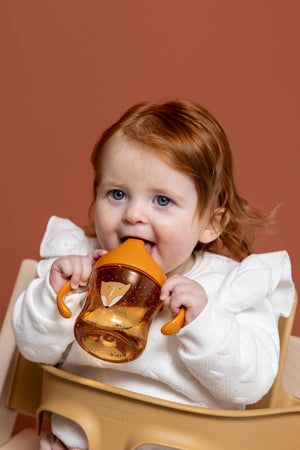 Taza aprendizaje asas Fox