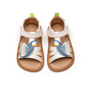 Sandalias Tip Toey Joey Macaw Dream