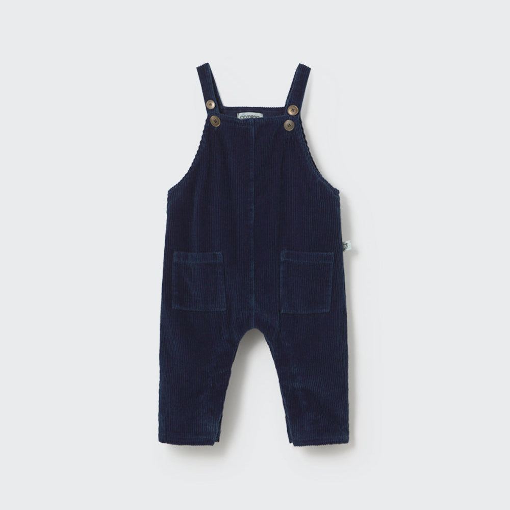 Peto Dax pana navy