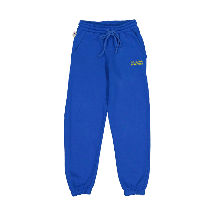 Jogger azul