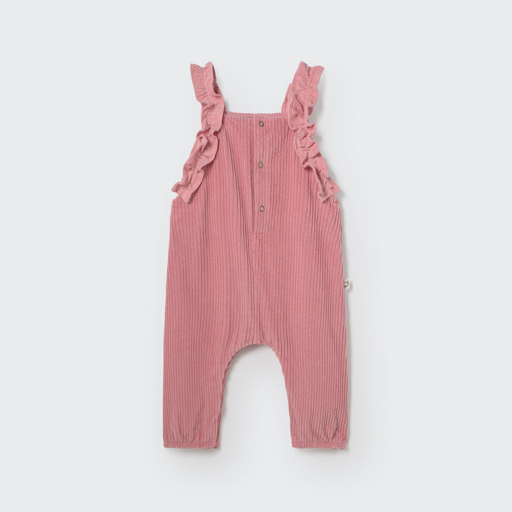 Peto Lily pink