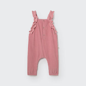 Peto Lily pink