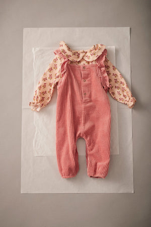 Peto Lily pink