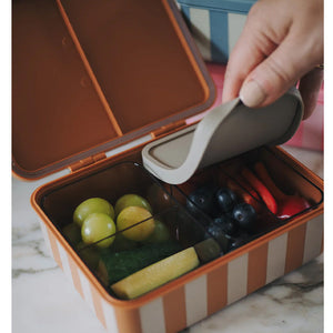Caja Bento con bandejas extraibles Green