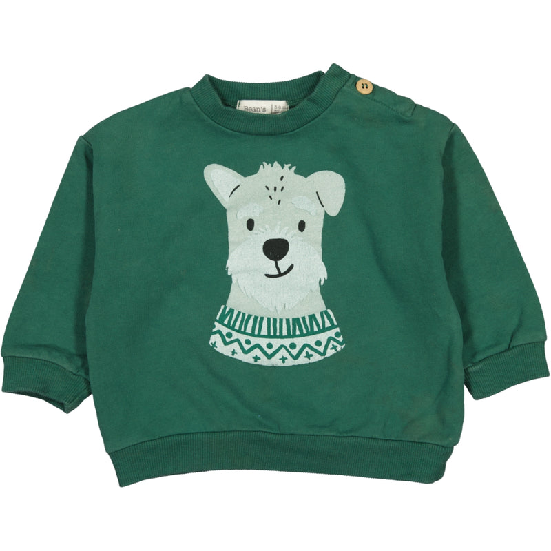 Sudadera Alex green