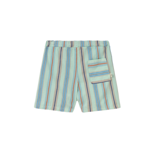 Bermuda Zion aqua stripped