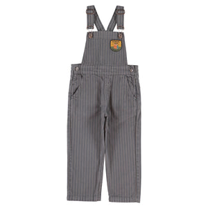 Peto Grey black stripes