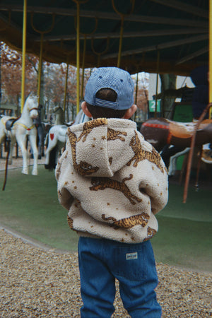 Polar Joddy Teddy tiger