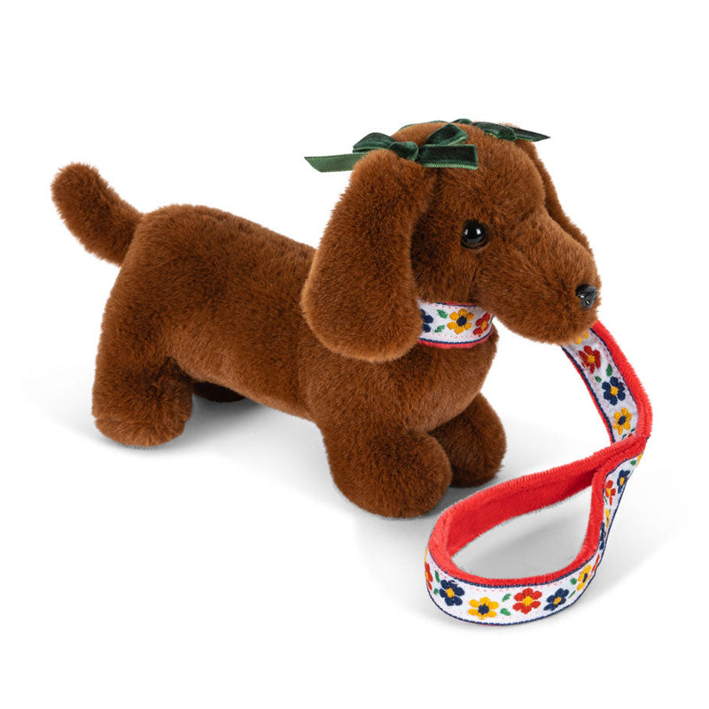 Pet Puppy con casita