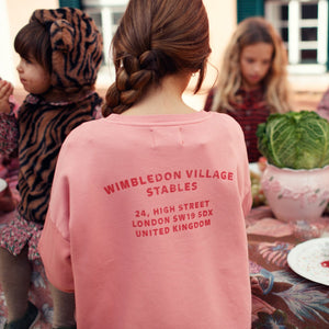 Sudadera Pink House multicolor